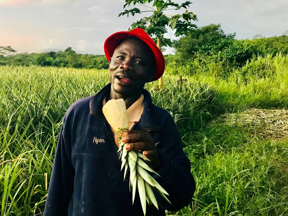 Op zoek naar de Ghanese ananasboer van Albert Heijn die ons een ‘lekker gevoel’ moet geven